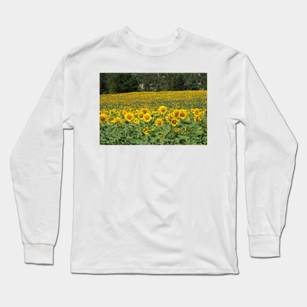 DSC_0137_B Long Sleeve T-Shirt by wgcosby